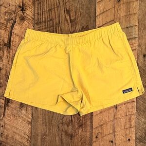 Patagonia baggies shorts